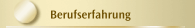 Berufserfahrung